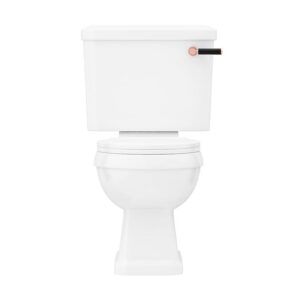 Arezzo Traditional Toilet with Rose Gold and Matt Black Lever