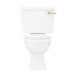 Arezzo Traditional Toilet with Brushed Brass Lever