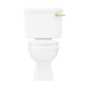 Arezzo Traditional Toilet with Brushed Brass Lever