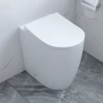 Arezzo Back to Wall Comfort Height Toilet + Soft Close Seat