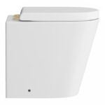 Arezzo Back to Wall Toilet (incl. Seat with Brushed Brass Hinges)