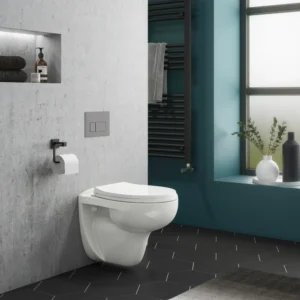 Compact Dual Flush Concealed WC Cistern with Wall Hung Frame & Rimless Toilet