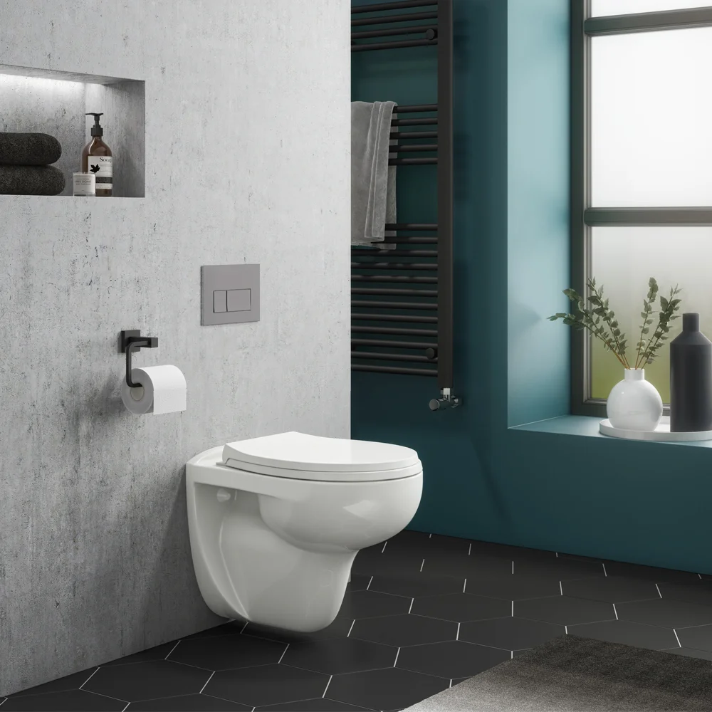 Compact Dual Flush Concealed WC Cistern with Wall Hung Frame & Rimless Toilet