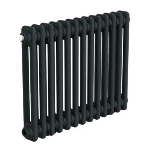 Keswick 450 x 605mm Horizontal Radiator Anthracite 2 Column