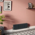 Keswick 300 x 1010mm Horizontal Radiator Anthracite 2 Column